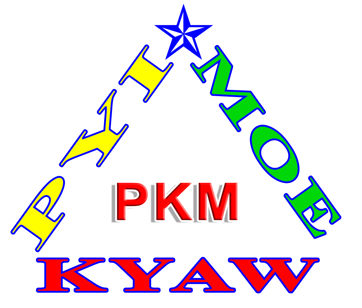 Pyi Kyaw Moe Co.,Ltd